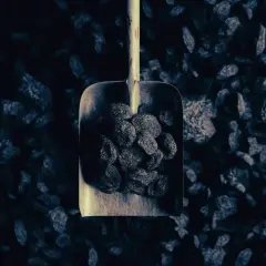 Łopata z węglem, symbol tego, kto dostanie dofinansowanie do węgla.