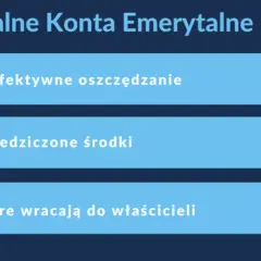 Indywidualne Konta Emerytalne: bezpieczne oszczędzanie, prywatne środki i pieniądze wracające do właścicieli. Czy towarzystwo funduszy inwestycyjnych może stworzyć IKE?