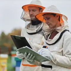 Trzy osoby w strojach pszczelarskich analizują dokumenty, planując jak założyć pasiekę dofinansowanie.