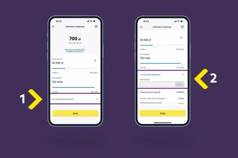 Symulacja kredytu w Raiffeisen Digital Bank. Sprawdź, czy sprawdzają BIK, wpisując kod rabatowy.