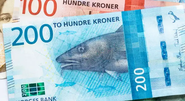 Norweskie banknoty: 100 i 200 koron. Na 200-koronowym banknocie widnieje dorsz i maskonur. To jest kr jaka to waluta.