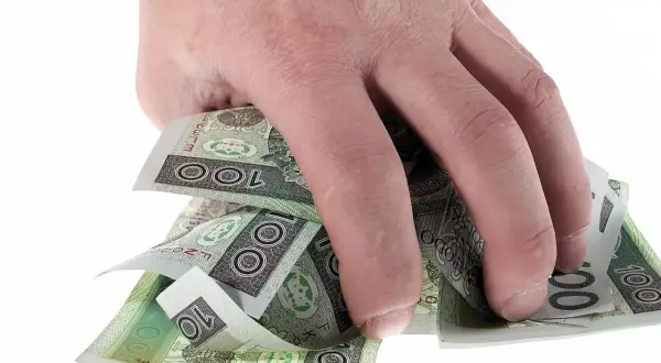 Dłoń trzyma polskie banknoty 100 zł. Szybkie przelewy Vivus to rozwiązanie, gdy potrzebujesz gotówki.