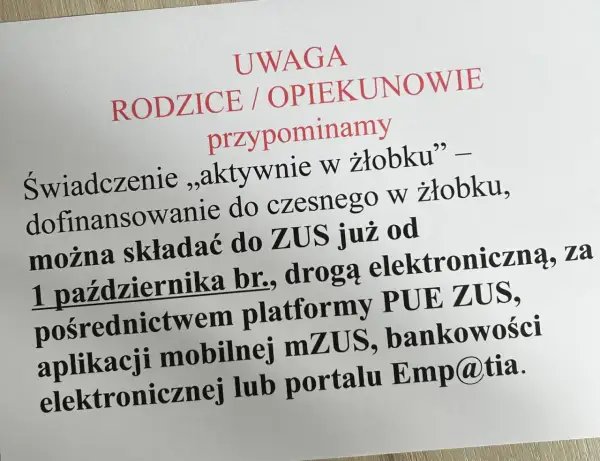 Dofinansowanie do żłobka można składać do ZUS już od 1 października br. drogą elektroniczną.